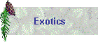 Exotics