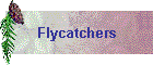 Flycatchers