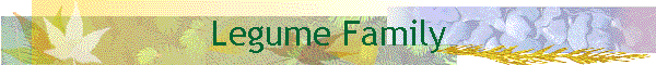 Legume Family
