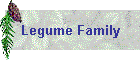 Legume Family