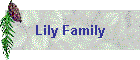 Lily Family