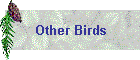 Other Birds