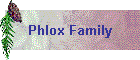 Phlox Family