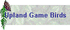 Upland Game Birds
