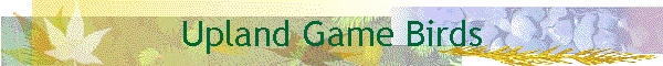 Upland Game Birds