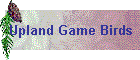 Upland Game Birds
