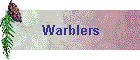 Warblers